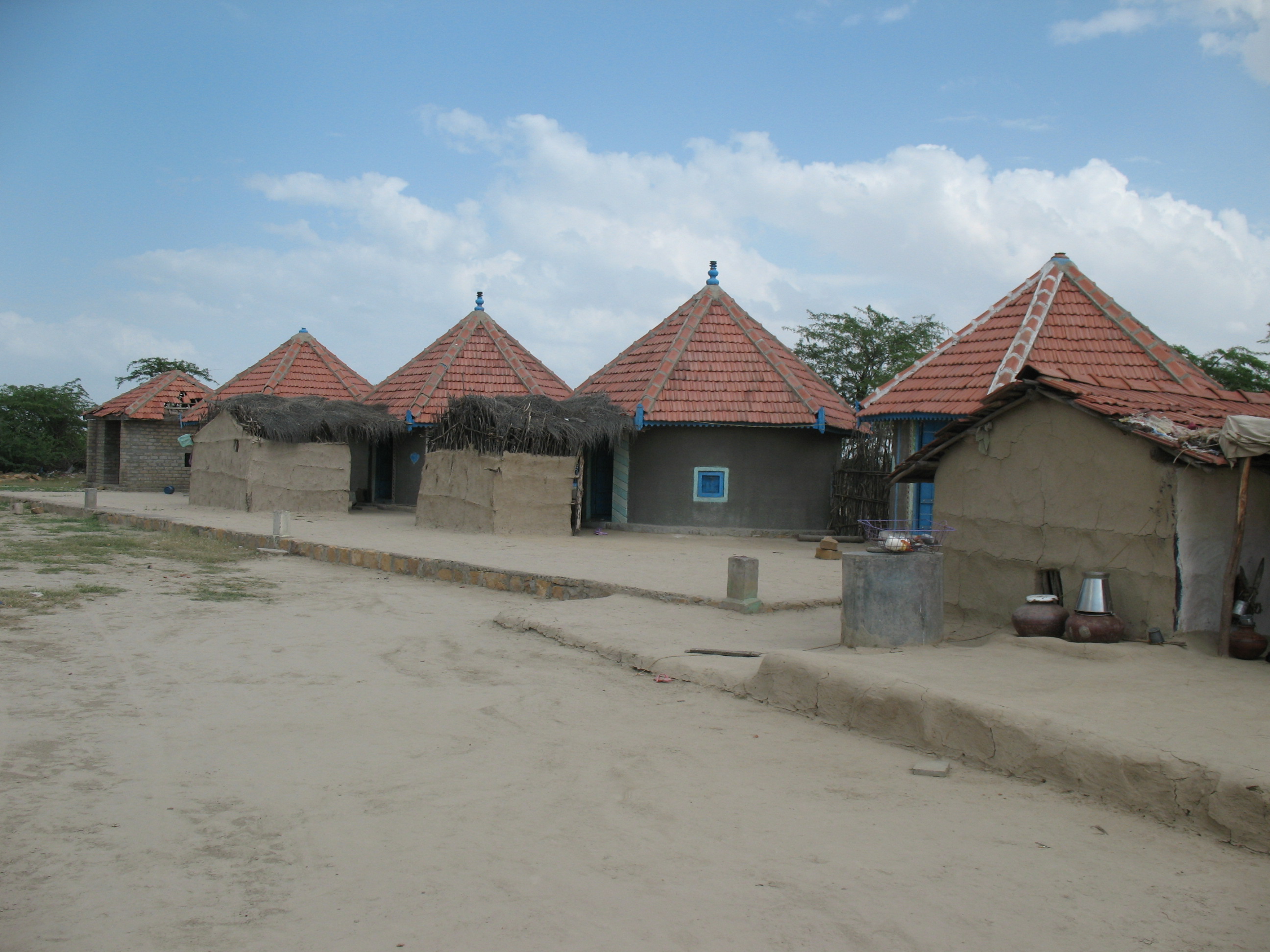 BANNI PACCHAM REHABILITATION PROJECT
